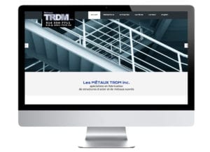 Métaux TRDM site web